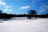 Golf In The Snow