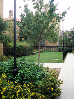 Morningside, Gascoyne, Shore and Old Kingshold Estates 1